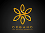 design spa yoga beauty logo