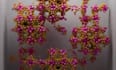 create seemless 3d loop animation 3d abstract loop  for music videos and reels