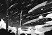 do a sci fi spaceship model