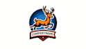 do deer sports mascot logo design