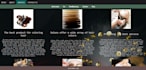 design and develop a custom responsive SEO friendly website