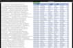 do excel data cleanup, formatting, merge, filter and data entry
