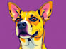 draw custom pet portrait in pop art style