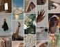 create fashion trend forecasting and impressive mood boards