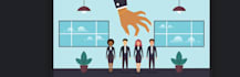 offer professional services in HR, and project development