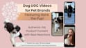 create backyard chicken ugc video ads for tiktok, instagram and facebook