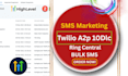 setup ghl a2p 10dlc registration on twilio gohighlevel ring central ghl bulk SMS