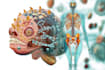 design scientific illustrations and medical figures