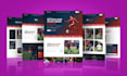 develop responsive website, web app with reactjs, nodejs as mern stack developer