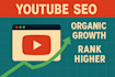 do youtube SEO, keyword research, niche research and channel optimization