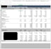 organize your business data into clean excel reports and forecasts