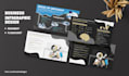 design a strategic business roadmap and data visualization infographic