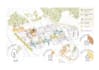 create professional site analysis and concept diagrams