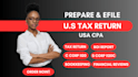 handle boi report, individual and c corp US tax returns and bookkeeping