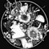 do a black and white engraving style illustration
