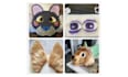 make a fursona reference for christmas base on your detail