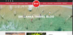 create a responsive portfolio or blog website