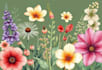 draw beautiful botanical plants and flowers