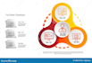 be full stack developer front end web developer, build website development