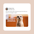create viral meme gifs for social media