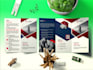 do a flyer design , poster, brochure, leaflet, bifold design, bushier design