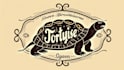 design amazing tortoise logo with creative concepts