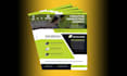 design a professional flyer, poster and all graphics work