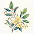 draw botanical illustration art for you