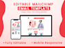 design editable mailchimp email template