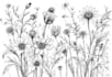create a botanical black and white pen sketch