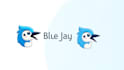 do awesome blue jay bird head mascot logo design