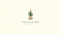 create beautiful 3d tiny cactus line minimalist logo design