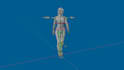 rig advanced 3d character in blender for unreal engine