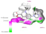 perform molecular docking simulations for your compounds