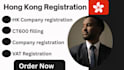 hong kong company registration vat registration ct600 filling offshore company