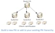 implement pki, active directory certificate services, SSL, tls solutions