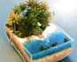 do 3d fluid water simulation 3d liquid simulation 3d product animation 3d flower