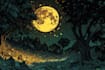 draw your comic art, comic book, illustrations, comic pages