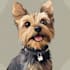 draw cartoon disney style pet portrait