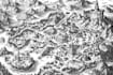 make a fantasy map for rpg fantasy dnd novels