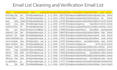 do email list cleaning, validation, and verification for up to 5 millions emails