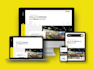 do professional and modern website development
