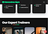 develop and customize websites from landing website to full length websites