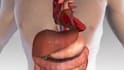 3d medical explainer video, 3d medical animation video, 3d product animation