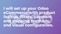 configure and develop a complete odoo ecommerce