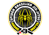 design unique spider logo