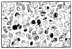 design the best doodle art for you