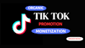 set up and manage tiktok monetization, promotion  organically