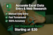 do accurate excel data entry, web research, and data mining