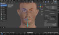 do 3d rigging professionally in blender and maya